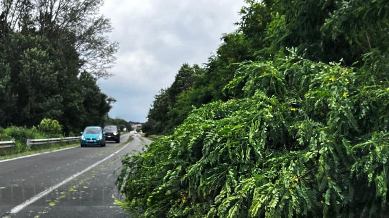 CANAVESE - Nubifragio si abbatte su diversi paesi, decine di chiamate ai vigili del fuoco - FOTO