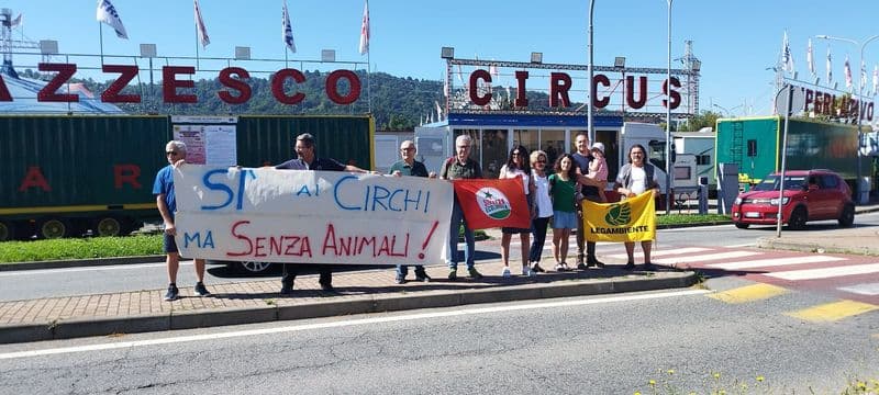 CHIVASSO - Circo con animali in città: scatta il flash mob di protesta