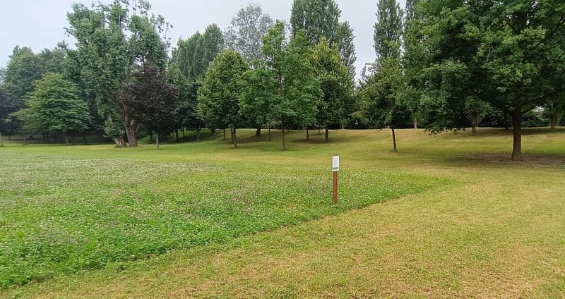 CHIVASSO - Aiuole a prato fiorito e aree verdi a sfalcio erba ridotto per aiutare api e insetti