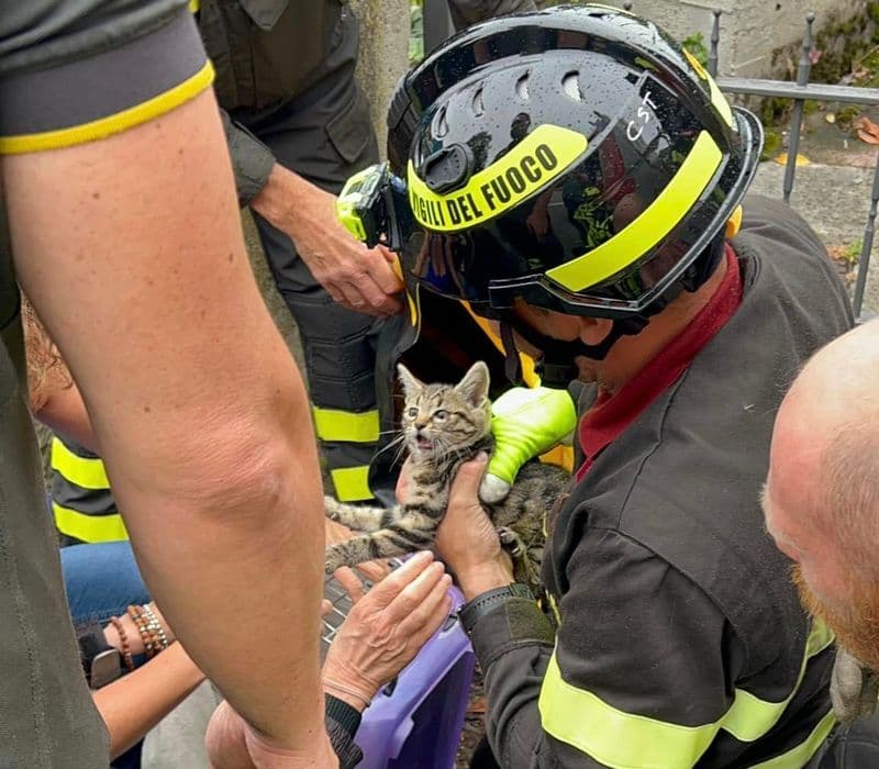 AGLIE' - Gatto intrappolato vicino al canale di Caluso: salvato dai vigili del fuoco - FOTO