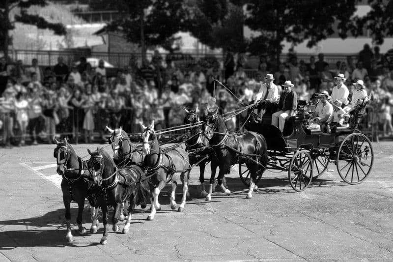 IVREA - «San Savino, mestieri e storia»: in mostra le foto di Lavarino, Torra, Ghiggio ed Eporedia 2024 - FOTO