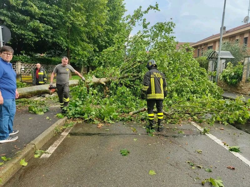 CHIVASSO - Bomba d'acqua in città, alberi abbattuti e allagamenti al pronto soccorso - FOTO