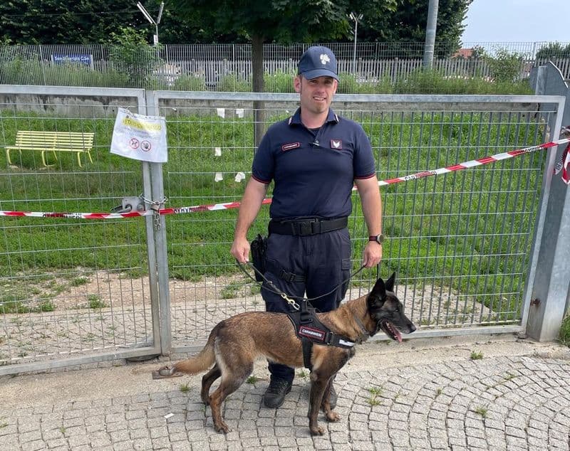 SAN MAURIZIO CANAVESE - Allarme bocconi avvelenati: ucciso un cane, un altro in gravi condizioni