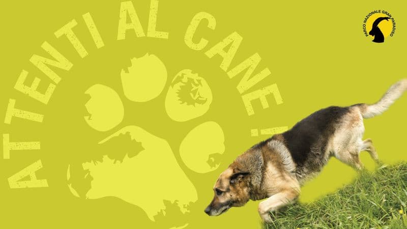 GRAN PARADISO - Dal 15 luglio al 15 settembre è possibile portare i cani nel Parco solo lungo alcuni sentieri