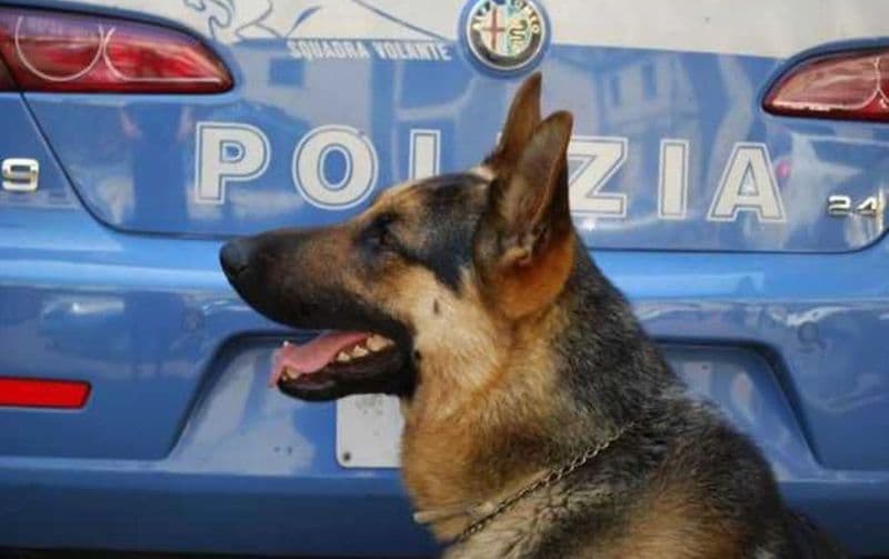 CANAVESE - #senontiportononparto: la campagna della polizia di Stato contro l'abbandono degli animali