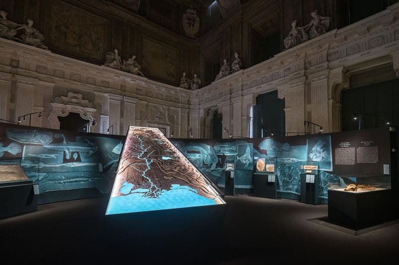 CULTURA – Agosto nei musei torinesi