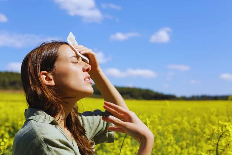 CANAVESE - Ancora caldo torrido, ondate di calore e notti tropicali: attesi temporali martedì e mercoledì