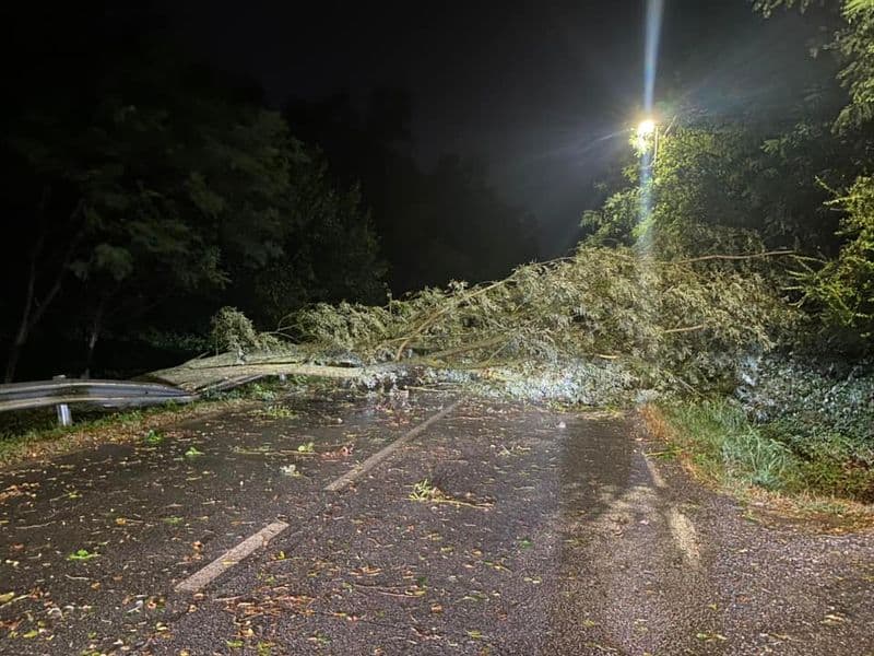 CANAVESE - Maltempo, è allerta gialla: violento nubifragio a San Benigno, albero caduto in strada a Montanaro