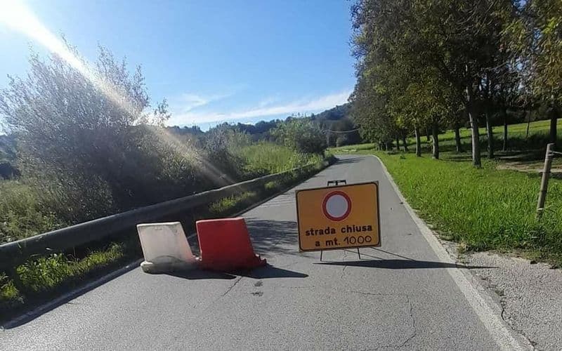 CANDIA - Albero cade su strada, provinciale chiusa per possibile crollo di altre piante