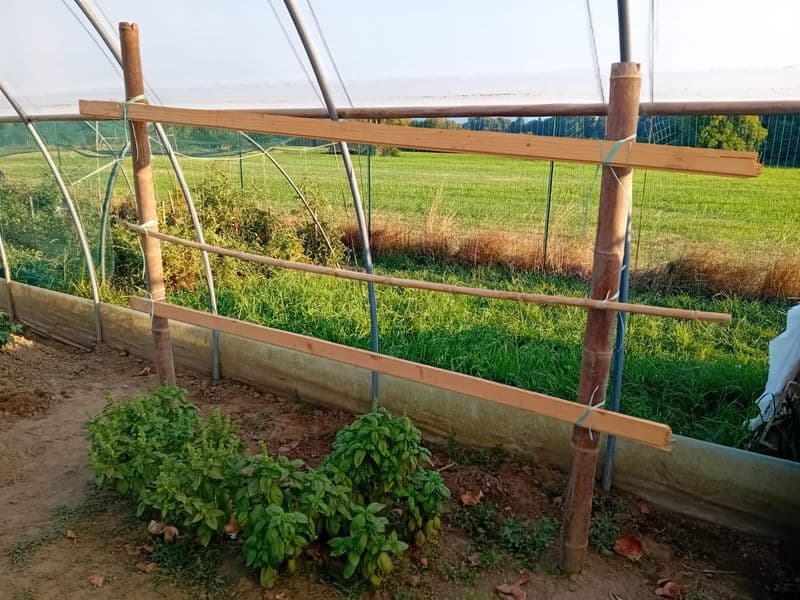 CIRIE' - Ladri senza nessun rispetto rubano persino frutta e verdura dall'orto della Caritas - FOTO