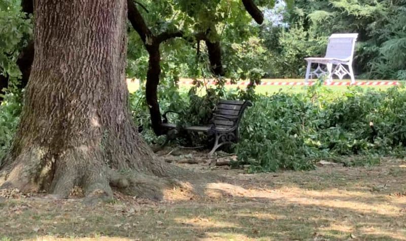 RIVAROLO CANAVESE - Crollano i rami della quercia secolare e si abbattono su una panchina del parco Malgrà - FOTO