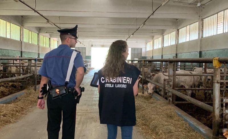 CANAVESE -  Controlli dei carabinieri del Nucleo Ispettorato del Lavoro: nei guai un ristorante dell'alta Valle Orco