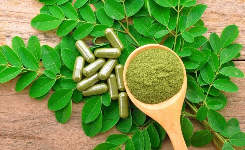 FOOD – La Moringa, la pianta dei miracoli