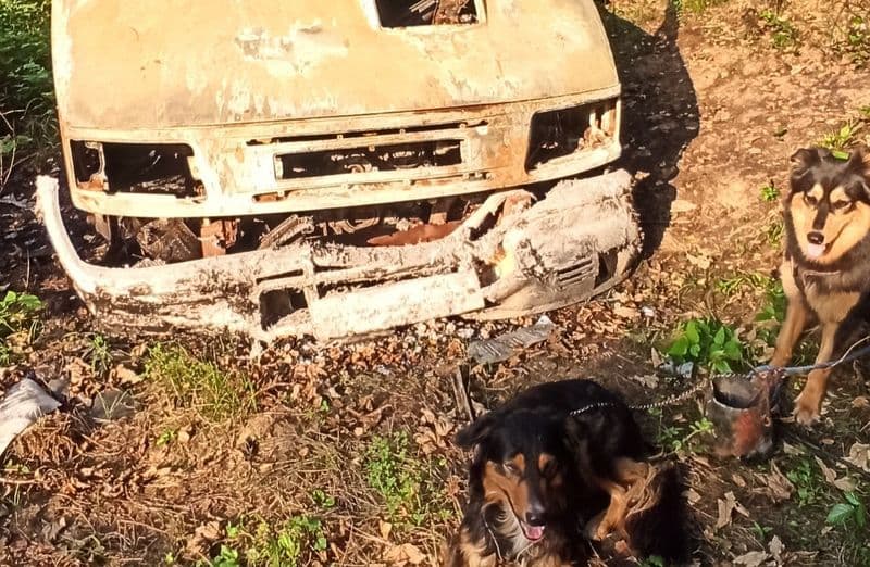 RUEGLIO - L'incendio gli ha distrutto un camper e un furgone, ora Riccardo chiede aiuto per poter andare avanti