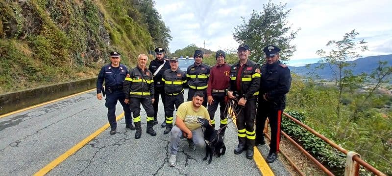 BORGOFRANCO D'IVREA - Cane incastrato tra i rovi, salvato da vigili del fuoco e carabinieri - VIDEO