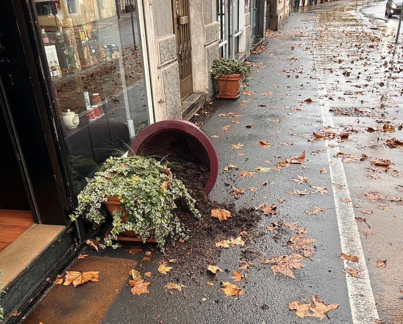 IVREA - Malamovida in centro: rovesciate le fioriere di corso Massimo d'Azeglio - FOTO