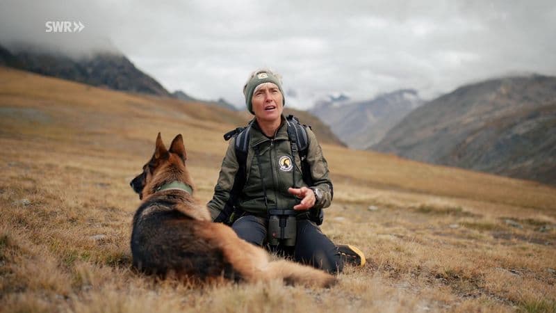 GRAN PARADISO - Il Parco protagonista in TV in Italia e in Germania