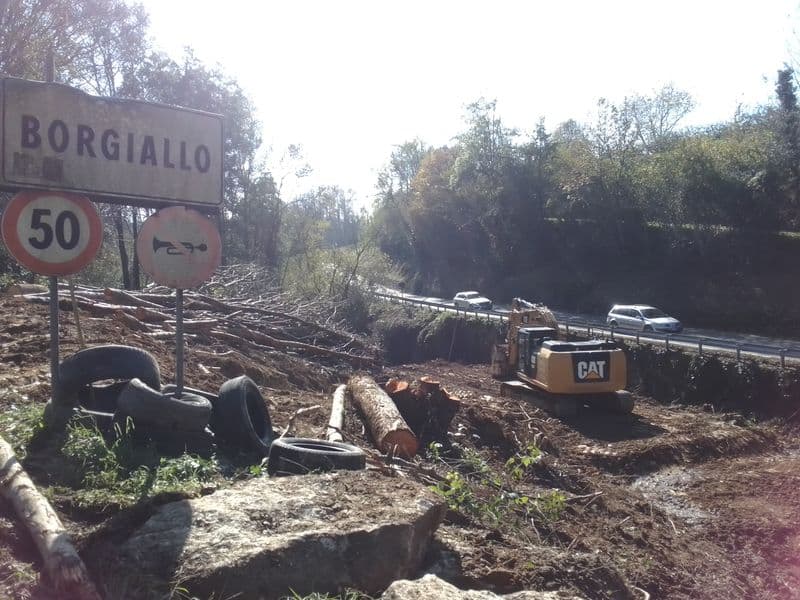 BORGIALLO - Alberi tagliati lungo il Rio San Giacomo, la denuncia degli ambientalisti: «Un intero ecosistema distrutto» - FOTO