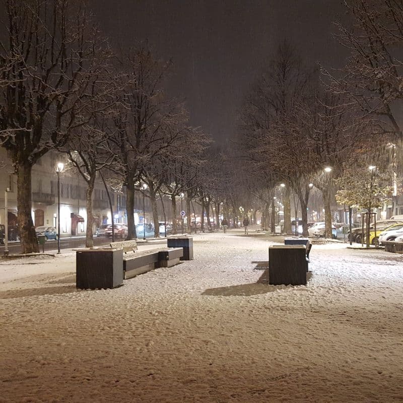 NEVE SUL CANAVESE - Traffico in tilt sulla pedemontana, alberi abbattuti in diversi Comuni e spalaneve in azione sulla A5 - FOTO