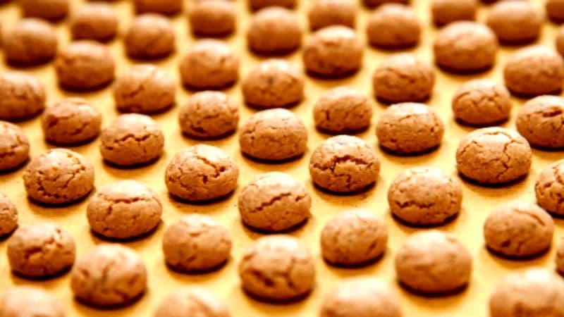 CHIVASSO - Nel 2025 un francobollo celebrativo dei nocciolini - FOTO