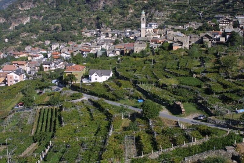 CANAVESE - I paesaggi terrazzati del Mombarone di interesse storico