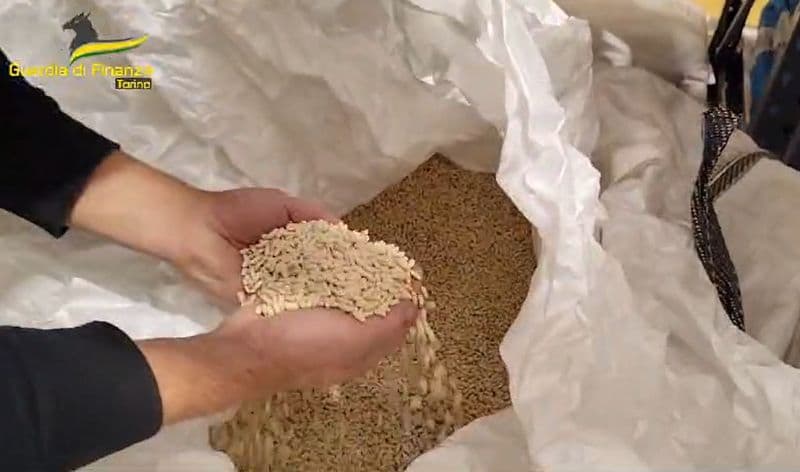 SICUREZZA ALIMENTARE - Sequestrate 263 tonnellate di sementi - VIDEO