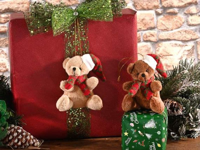 INGRIA - Per Natale scoppia la caccia all'orso... di peluche