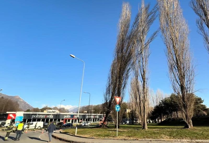 IVREA - Il forte vento ha sradicato un pioppo in via Jervis; anche diversi tetti danneggiati dalle raffiche - FOTO