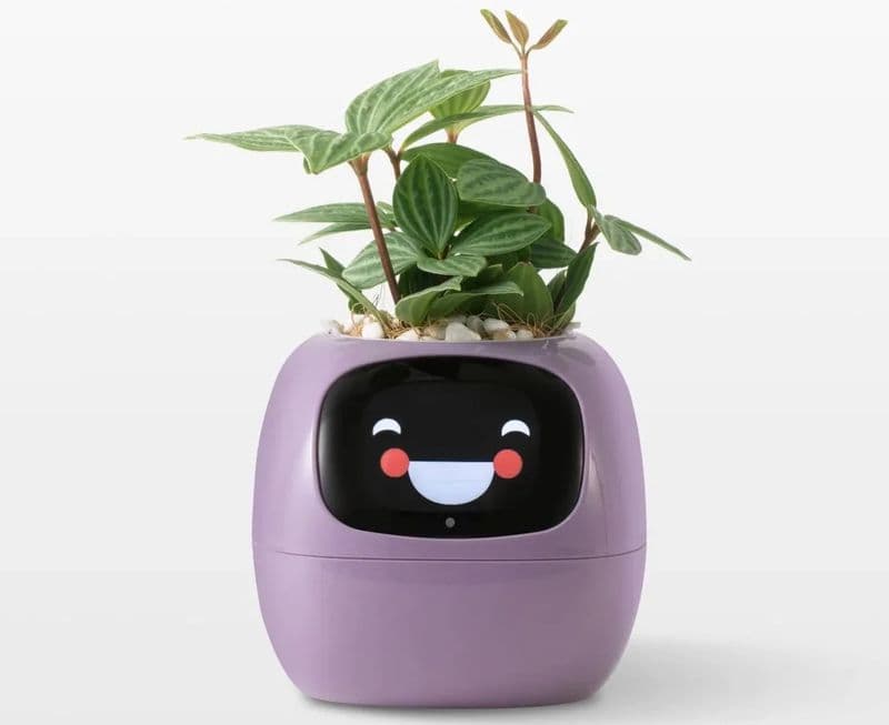 GREEN - Plantagotchi, quando l’hi-tech salva le piante