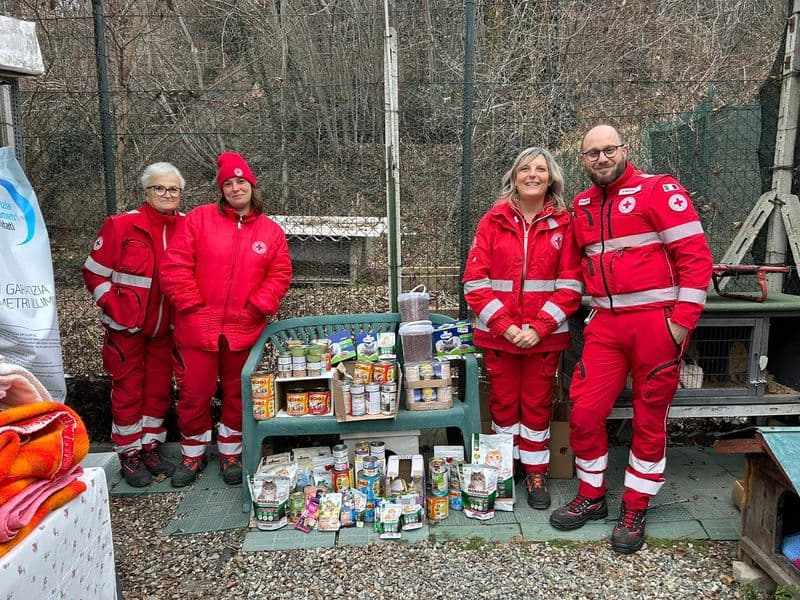 STRAMBINO - Croce Rossa, consegnata una calza della befana piena di pappe per i mici del gattile