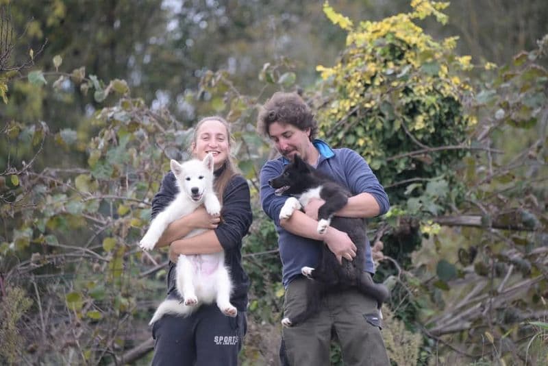 MAGLIONE - Dal Canavese al mondiale di sleddog in Svezia: il sogno iridato di Mattia e Alessandra corre sulla neve - FOTO