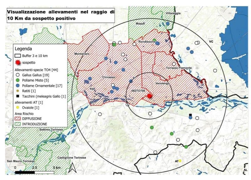 CHIVASSO - Focolaio di aviaria, ecco tutte le misure restrittive dell'Asl e i Comuni interessati