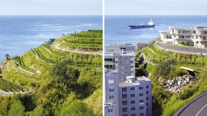 WINE - Le vigne italiane a rischio scomparsa