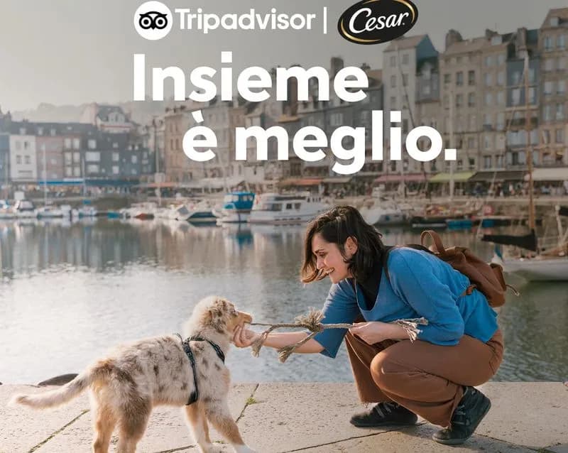 PET – Quant’è difficile portare un animale in vacanza?