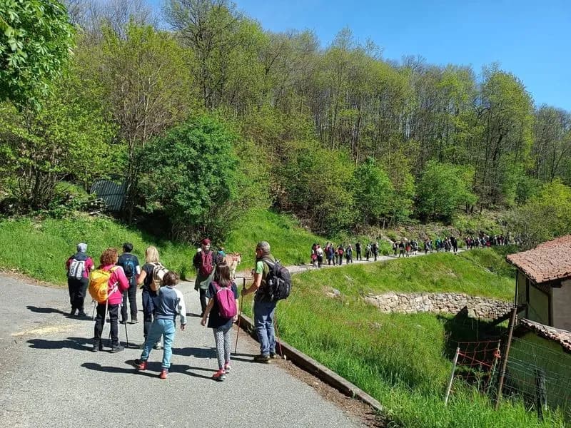 LORANZÈ - Turismo lento, tutto pronto per Asinaria: passeggiata a dorso di ciuchino
