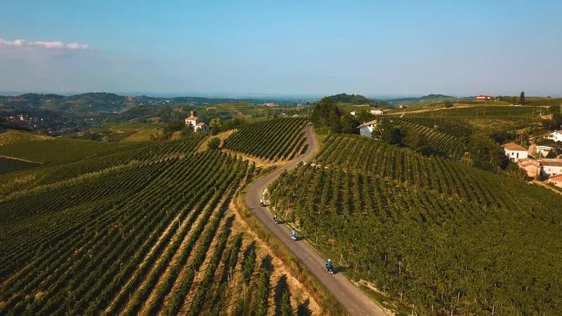WINE – Monferrato, dalle vigne al futuro