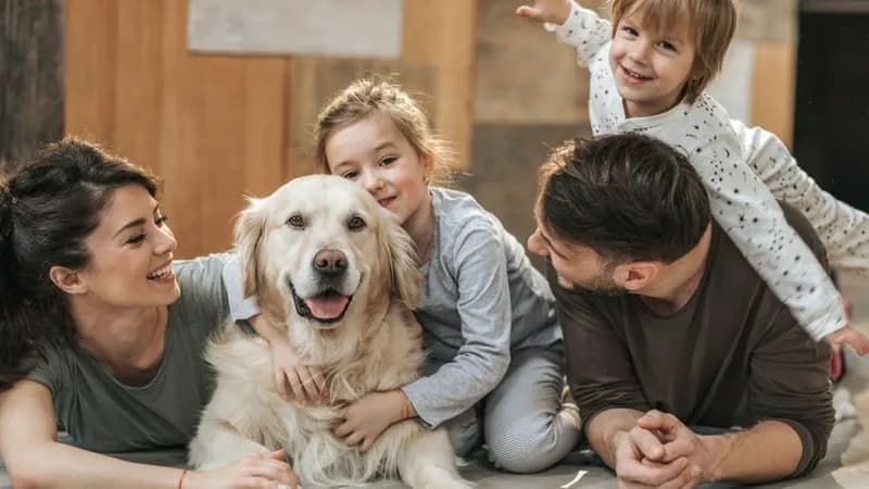 SOCIETA' - L'Italia a quattro zampe: oltre 10 milioni di famiglie con animali in casa