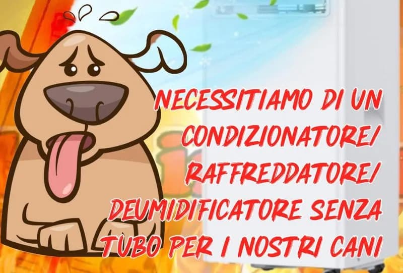 CALUSO - Troppo caldo al canile, appello dei volontari dopo l'addio alla piccola Dea