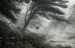 CANAVESE - Allerta vento per mercoledì e giovedì: raffiche oltre i 120 orari