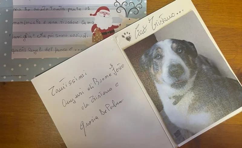 SPARONE - Salvato in extremis, il cagnolone Tristano (e la sua proprietaria) ringraziano i vigili del fuoco di Cuorgnè