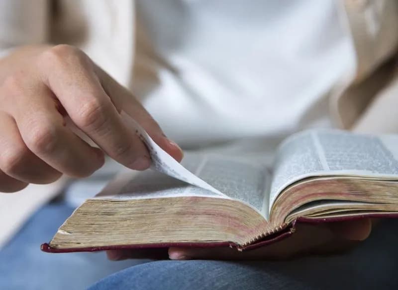 ISTRUZIONE - Un adulto su tre fatica a leggere un testo