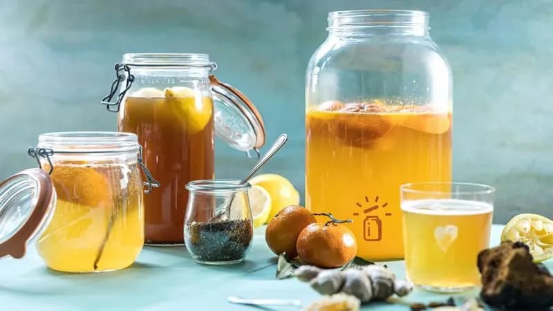 SALUTE - La Kombucha, il tè fermentato che fa bene