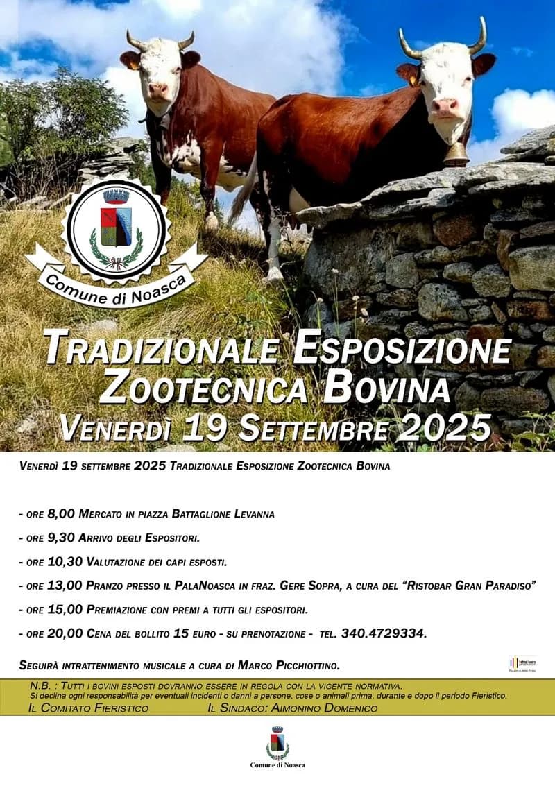 NOASCA - Torna la tradizionale Esposizione Zootecnica Bovina
