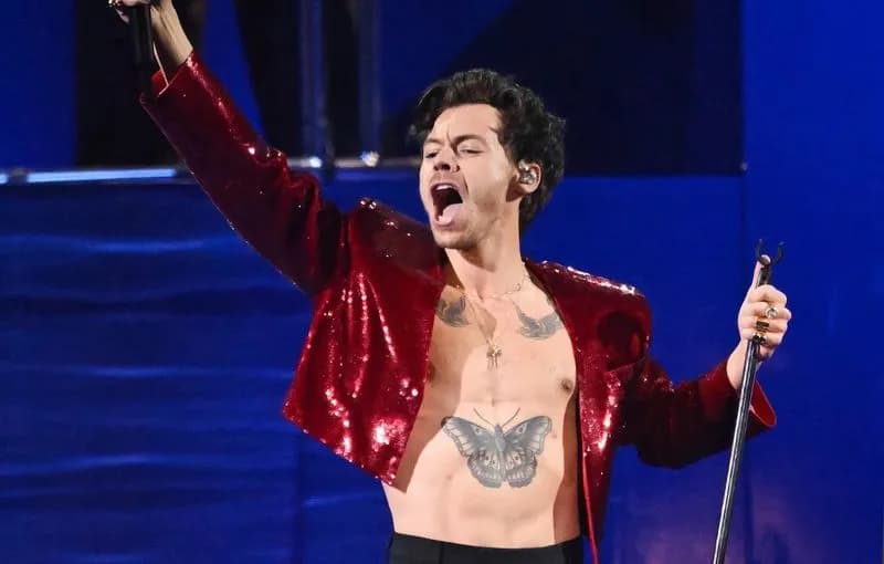 CURIOSITA’ – I sex toys firmati Harry Styles