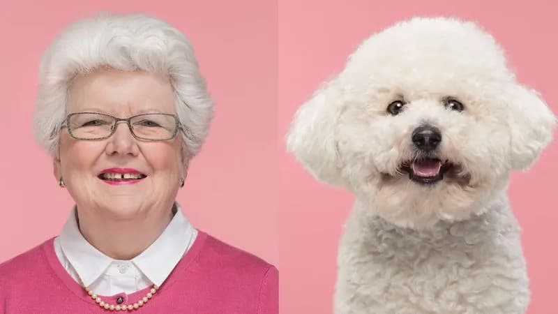 PET - I cani e i loro padroni si somigliano, lo dice la scienza