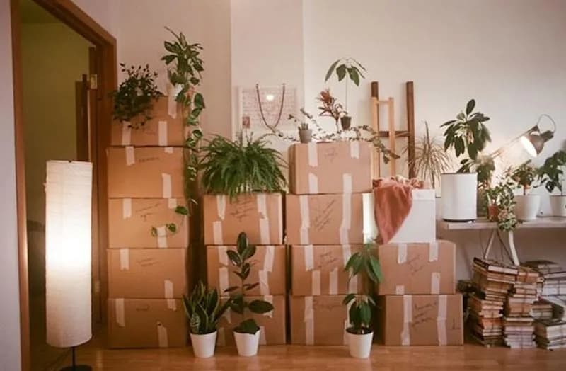 Traslochi e spedizioni: la logistica che fa la differenza