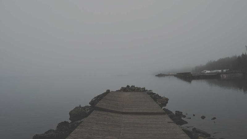 Nuovo ambulatorio veterinario sociale a Castellamonte: visite a prezzi calmierati