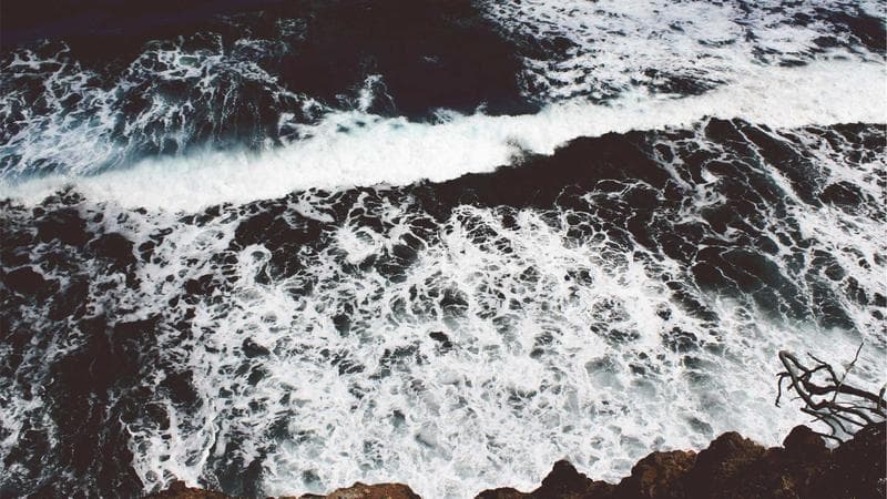 Volley femminile: la Canavese Volley promossa in Serie C dopo 15 anni