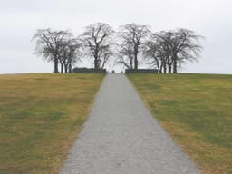 Gli artificieri al lavoro per la rimozione dell'ordigno