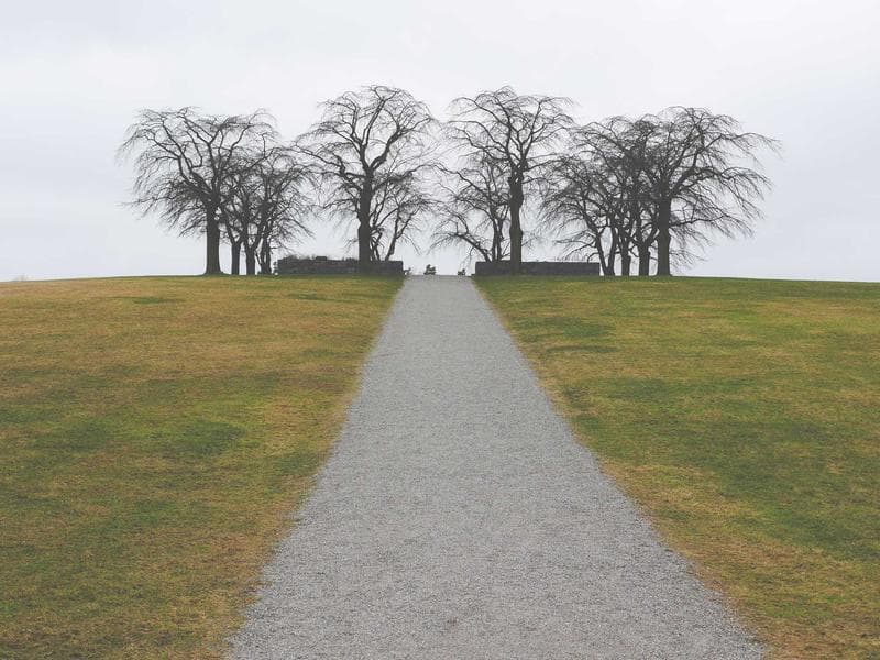 Gli artificieri al lavoro per la rimozione dell'ordigno